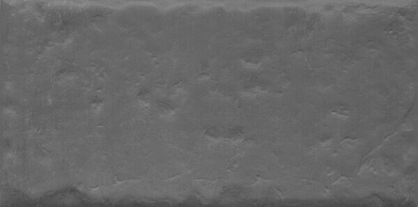 Плитка Kerama Marazzi Граффити 19067 20x9.9 0.91 м2 плитка kerama marazzi роверелла серый темный обрезной dl501300r 60x119 5 см