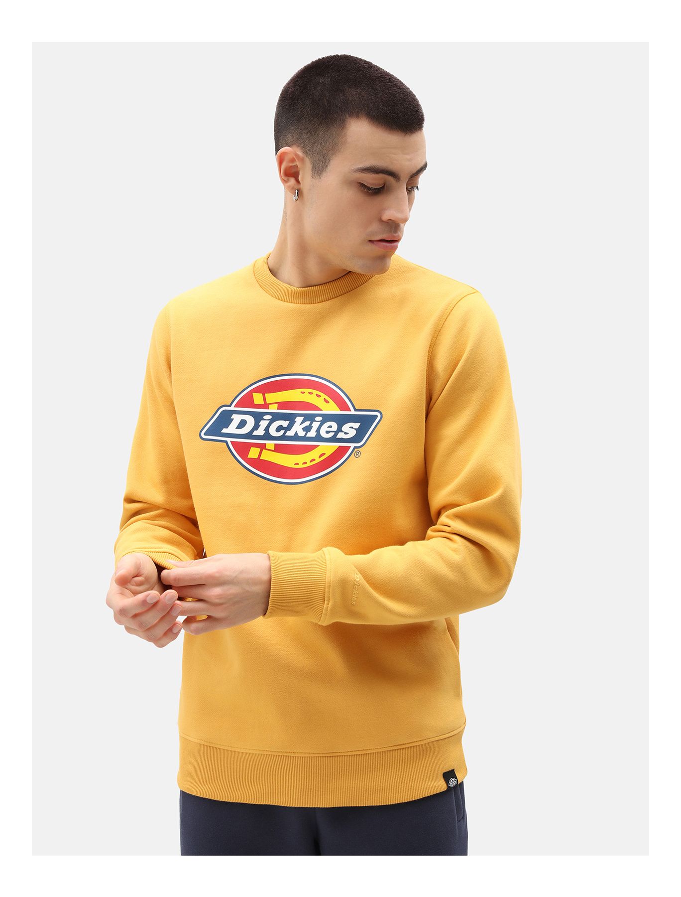 

Свитшот женский Dickies DK220241APR1 желтый L, DK220241APR1