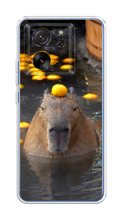 

Чехол на Xiaomi 13T/13T Pro "Капибара отдыхает", Коричневый;оранжевый;серый, 319850-1