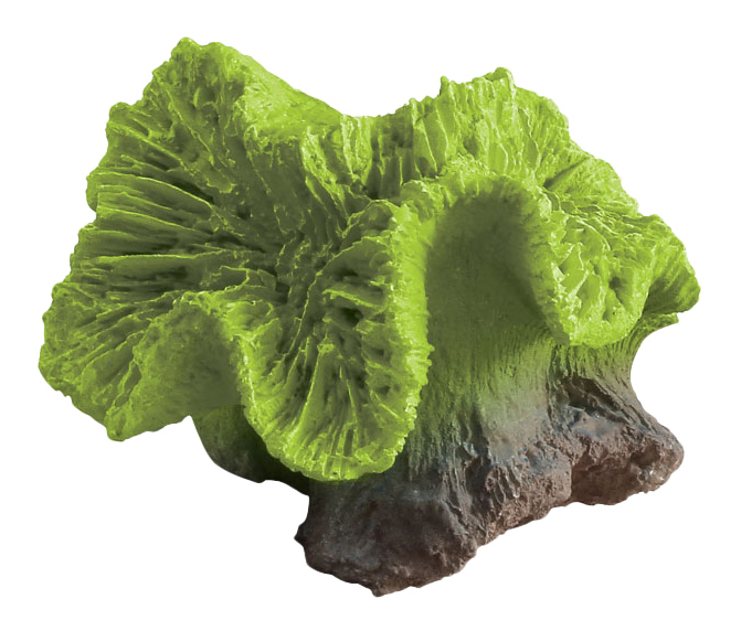 Искусственный коралл Laguna Грот Коралл, зеленый, 8х7х7 см