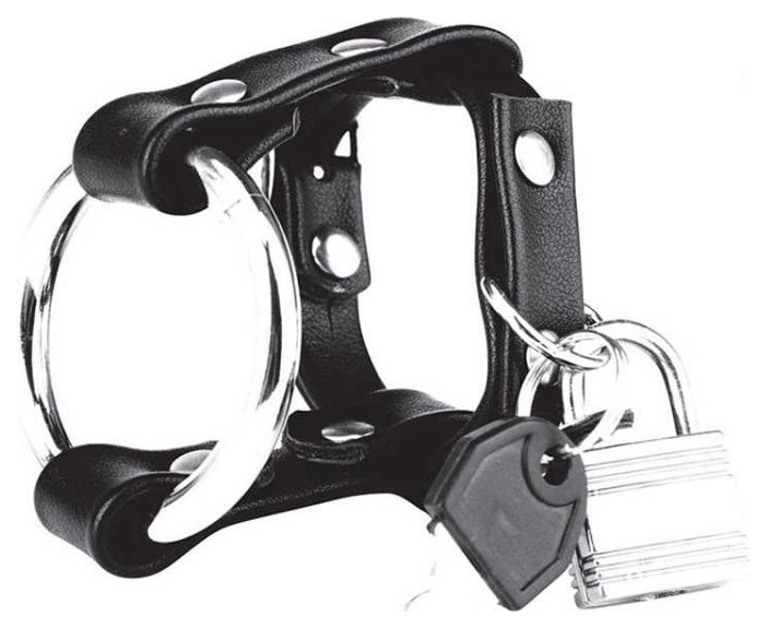 Генитальная сбруя BlueLine Metal Cock Ring With Locking Ball Strap