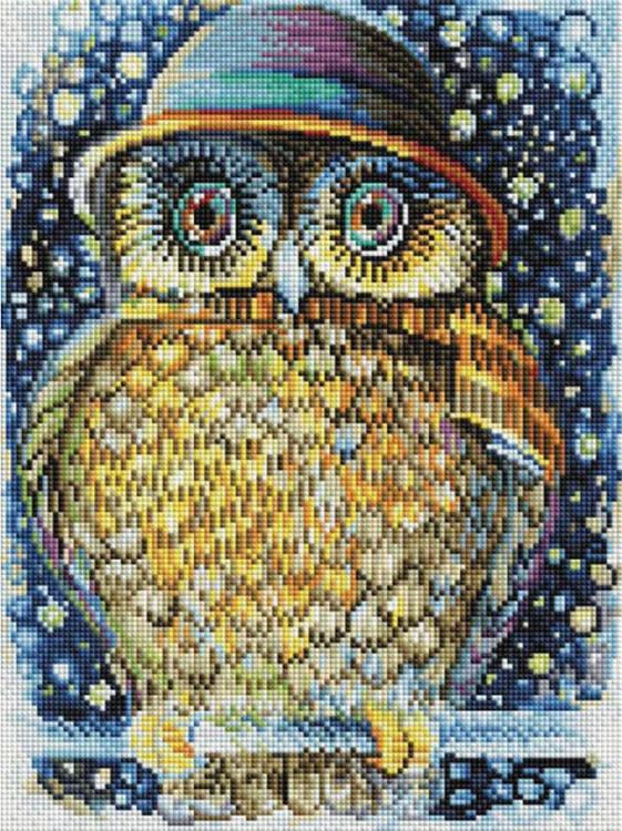 

Алмазная вышивка Белоснежка Сова в шляпе, 30x40 см, Сова в шляпе