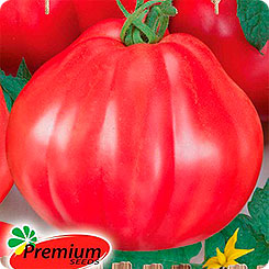

Семена томат Гармошка Premium seeds 1 уп., 188610