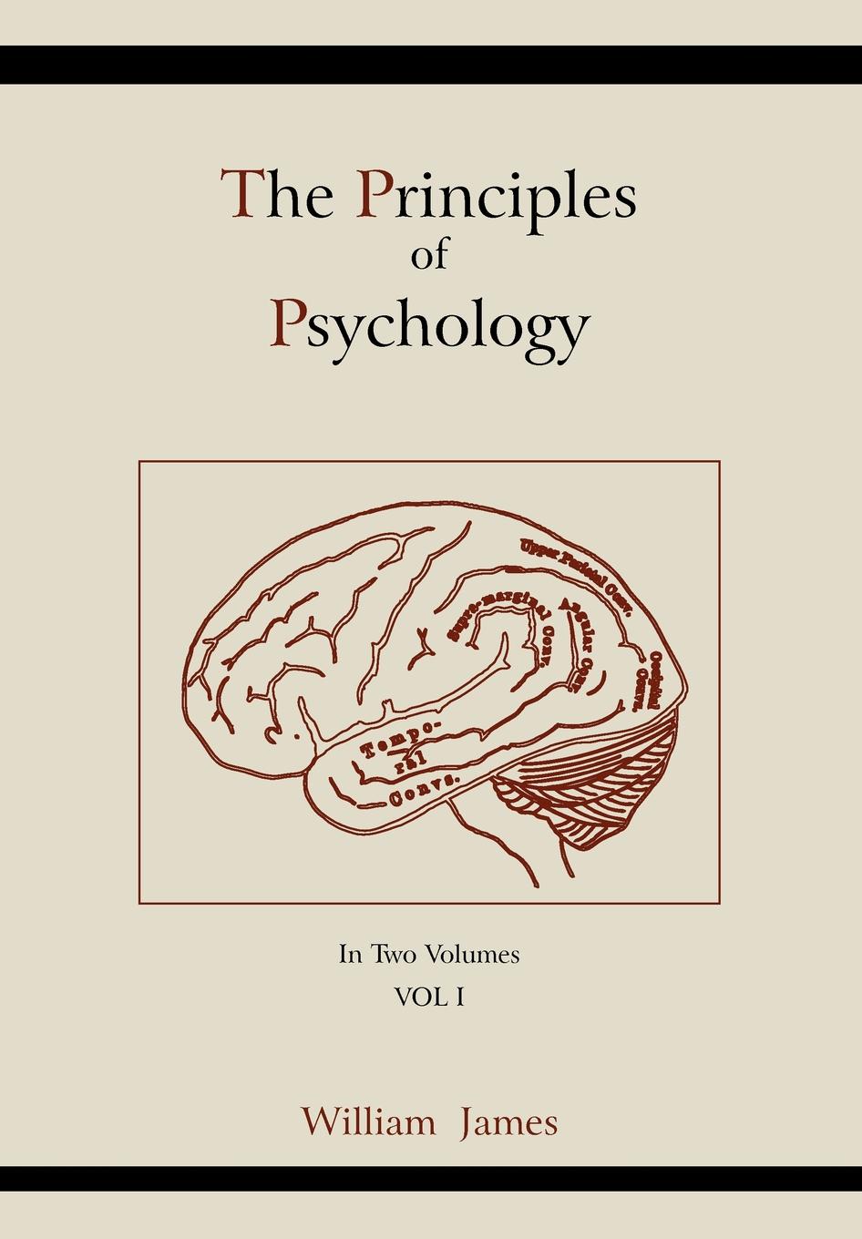 

The Principles Of Psychology (Vol 1)