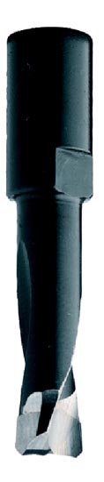 

Фреза HW для DOMINO-FESTOOL 6x28x49 Z=2 S=M6x0,75 RH CMT 380.060.11, фреза по дереву для фрезера 380,060,11
