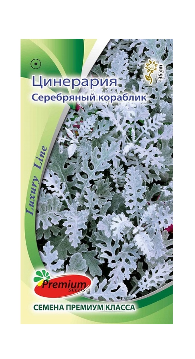 

Семена Цинерария Серебряный кораблик, 0,1 г Luxury Line Premium seeds