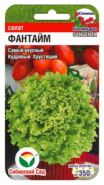 

Семена Салат Фантайм, 10 шт, Сибирский сад