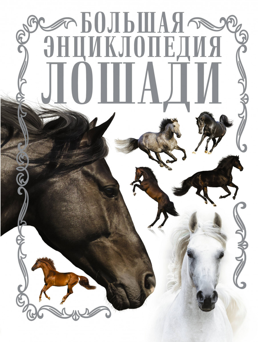 

Лошади, Большая Энциклопедия