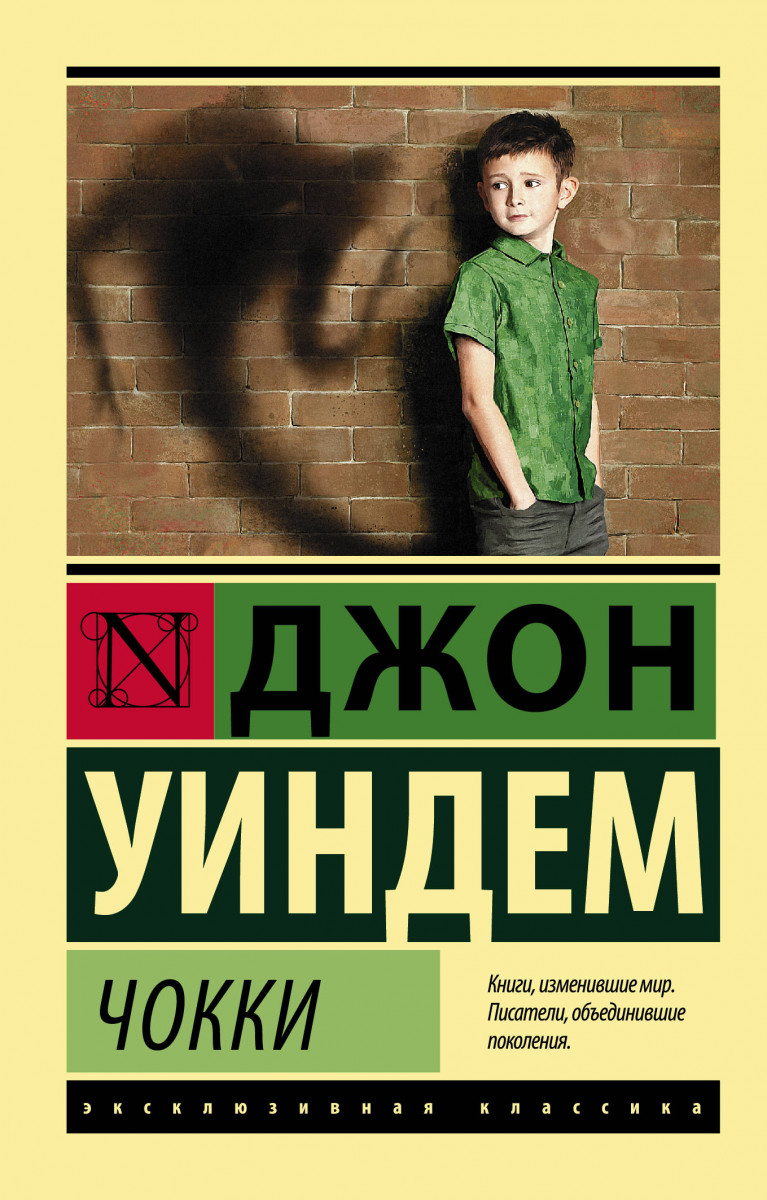 фото Книга чокки аст
