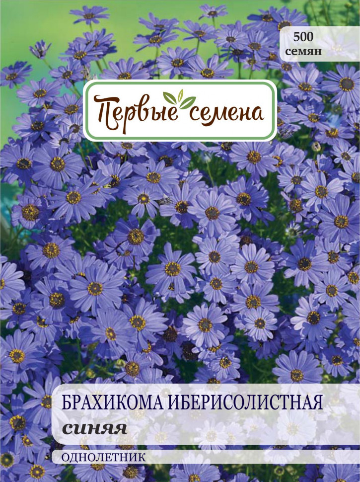 

Семена цветов Первые семена Брахикома иберисолистная синяя, 0,2 г