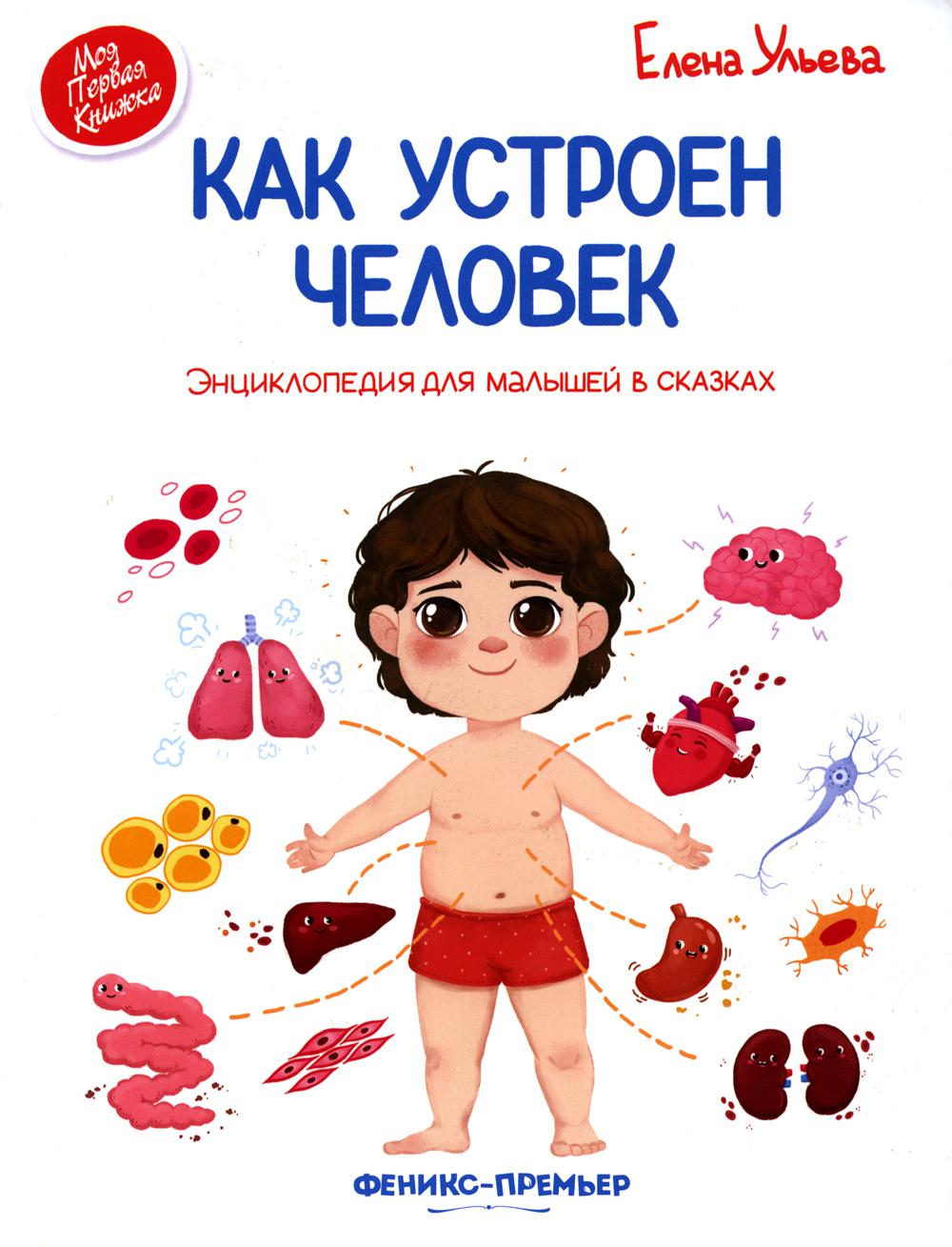 

Как устроен человек Феникс 144