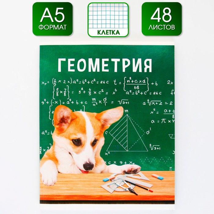 

Предметная тетрадь ArtFox STUDY Милые Питомцы Геометрия 48 листов А5 в клетку