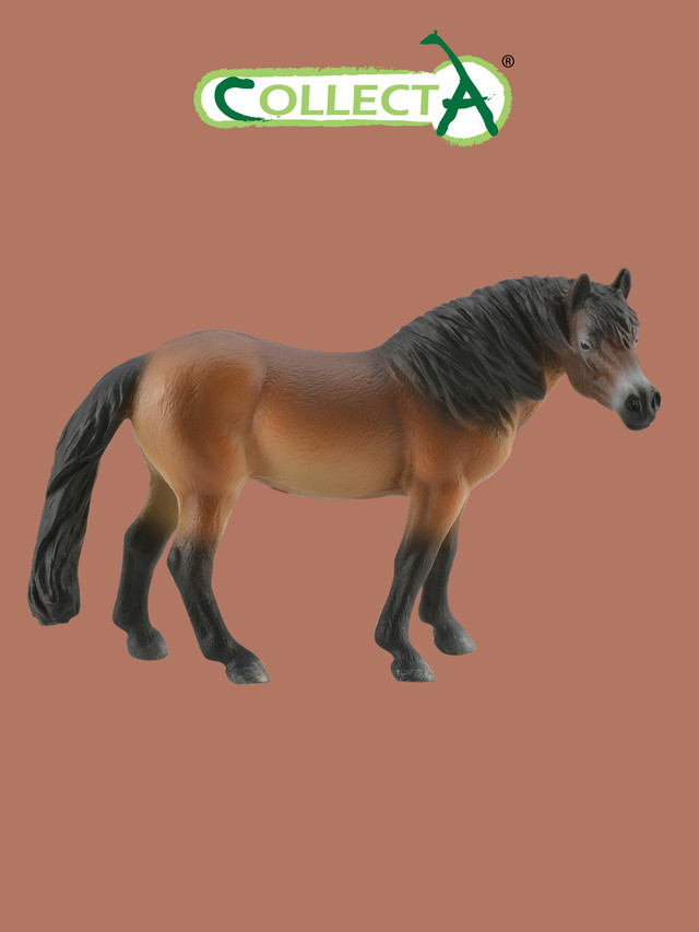 

Фигурка Collecta Жеребец. Эксмурский Пони 88873