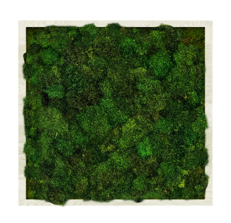 

Панно для интерьера 90х90см GardenGo из натурального стабилизированного мха зеленого цвета, 10