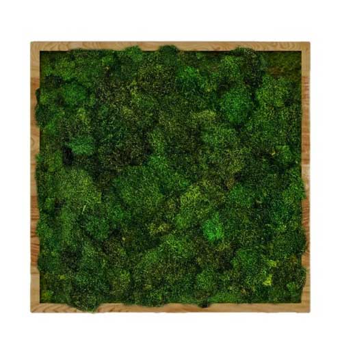 

Панно для интерьера 50х50см GardenGo из натурального стабилизированного мха зеленого цвета, 10