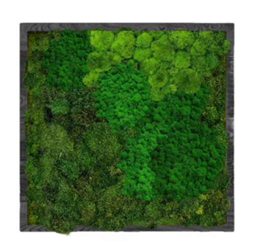 

Панно для интерьера 90х90см GardenGo из натурального стабилизированного мха зеленого цвета, 13