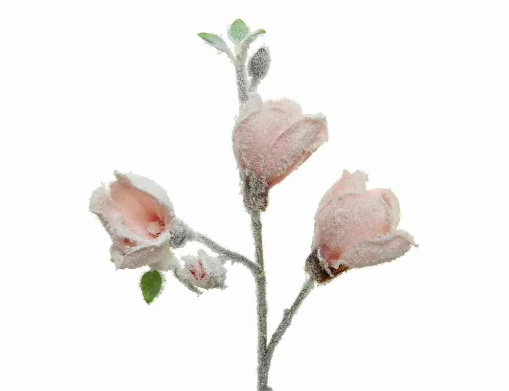 фото Ветка магнолии нежно-розовая, заснеженная, 50 см, kaemingk