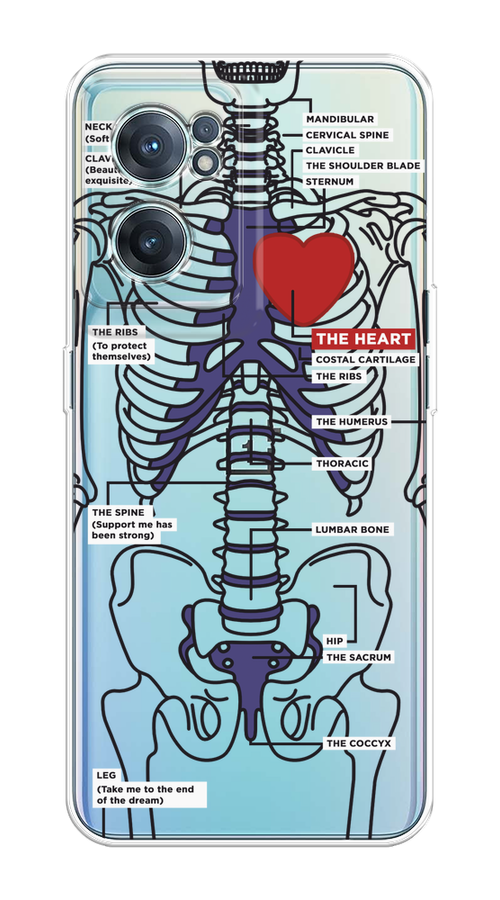 

Чехол на OnePlus Nord CE 2 5G "Скелет человека", Прозрачный;синий;красный, 152650-1
