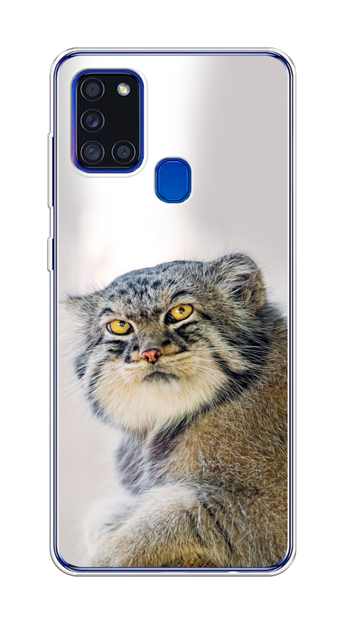 

Чехол на Samsung Galaxy A21s "Кот манул 1", Серый;белый;желтый, 2100250-1