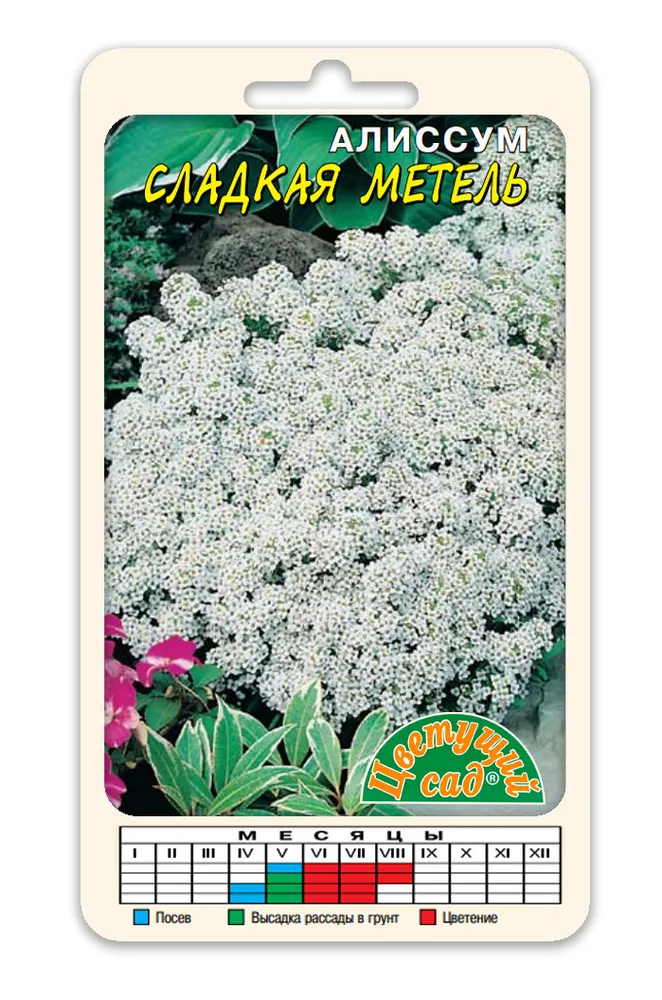 Семена алиссум Цветущий сад Сладкая метель 1 уп.
