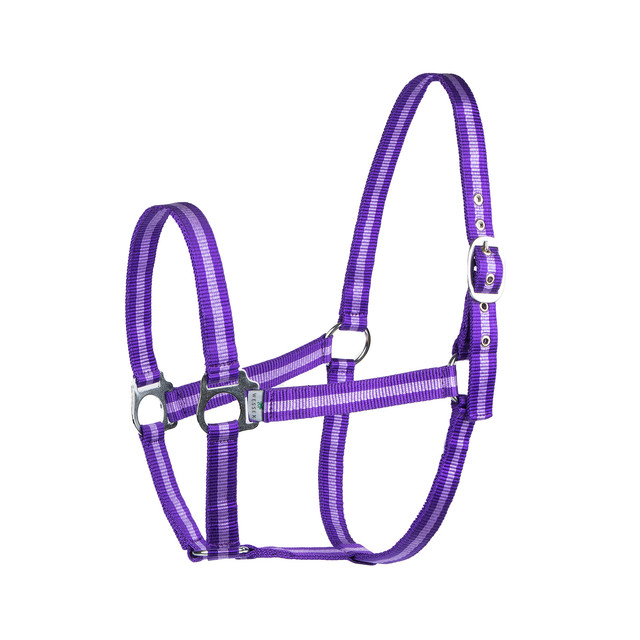 Недоуздок SHIRES Wessex, FULL, фиолетовый/лиловый