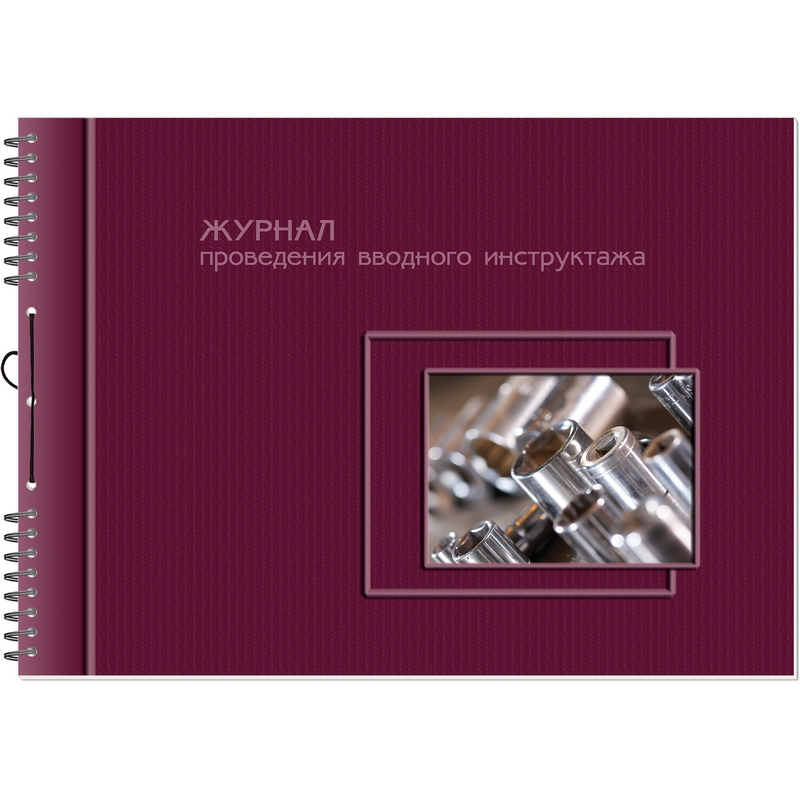 фото Журнал проведения вводного инструктажа (по тб, от, пож.безопасн.и др.) 2313, 20 шт. полином