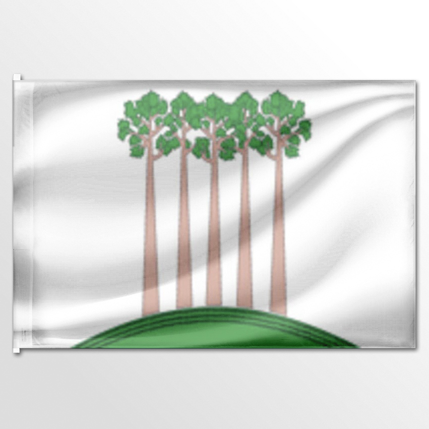 

Флаг ЦТП ФЕНИКС Проспекта Вернадского 135x90 см, 2957-135x90