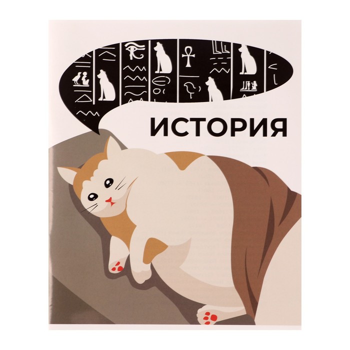 

Тетрадь Животные мемы 36 л в клетку История, мелованная бумага, блок №2 (серые листы)