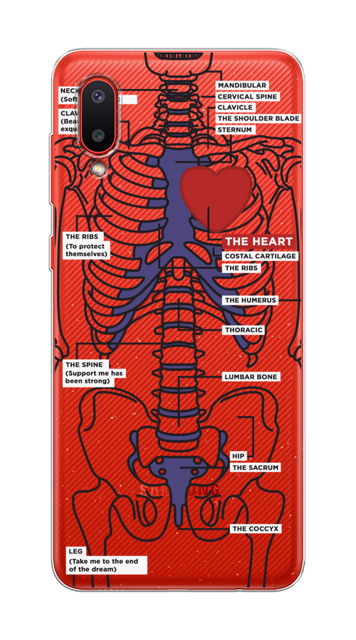 

Чехол на Samsung Galaxy A02 "Скелет человека", Прозрачный;синий;красный, 2102550-1