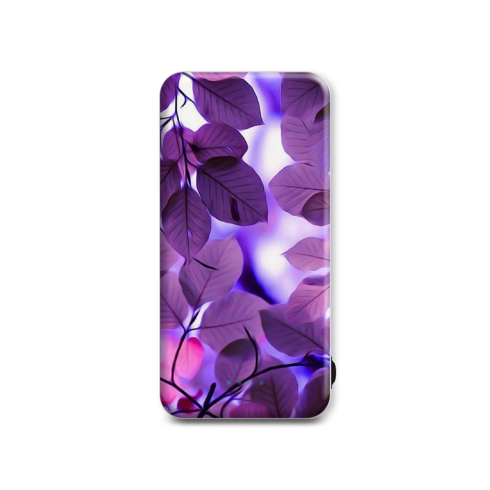 

Внешний аккумулятор Case Place AC10-210-2 10000 мА/ч фиолетовый, голубой (AC102109R10608), AC10-210-2