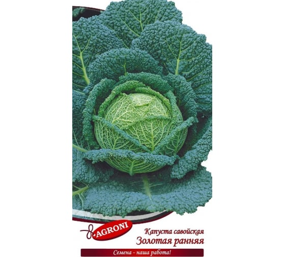 

Агрони Капуста савойская ЗОЛОТАЯ РАННЯЯ 3912