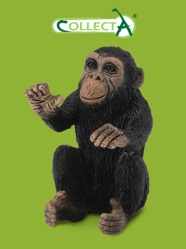 Фигурка Collecta Детёныш шимпанзе, S фигурка collecta динозавр детёныш брахиозавра