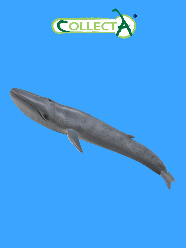 Фигурка Collecta Голубой кит XL collecta осел серый блист l 11 см
