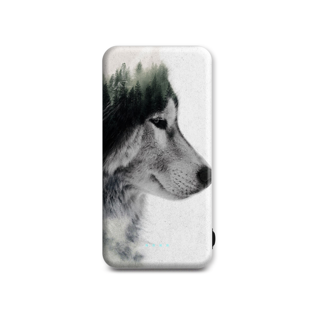 

Внешний аккумулятор Case Place AC10-210-1 10000 мА/ч серый, белый (AC102109R13917), AC10-210-1