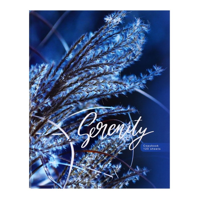

Тетрадь 120 л в клетку Blue serenity, глянцевая, со сменным блоком