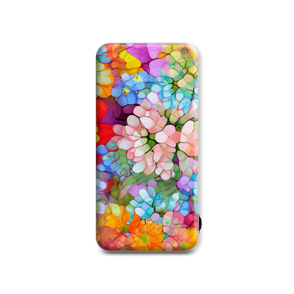

Внешний аккумулятор Case Place AC10-210-3 10000 мА/ч розовый, голубой (AC102109R143), AC10-210-3