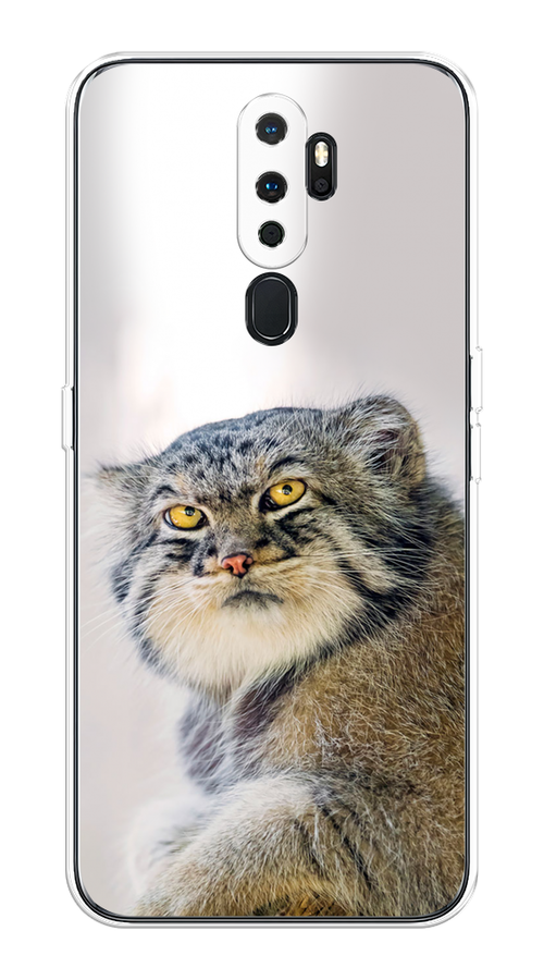 

Чехол на Oppo A5/A9 2020 "Кот манул 1", Серый;белый;желтый, 251350-1