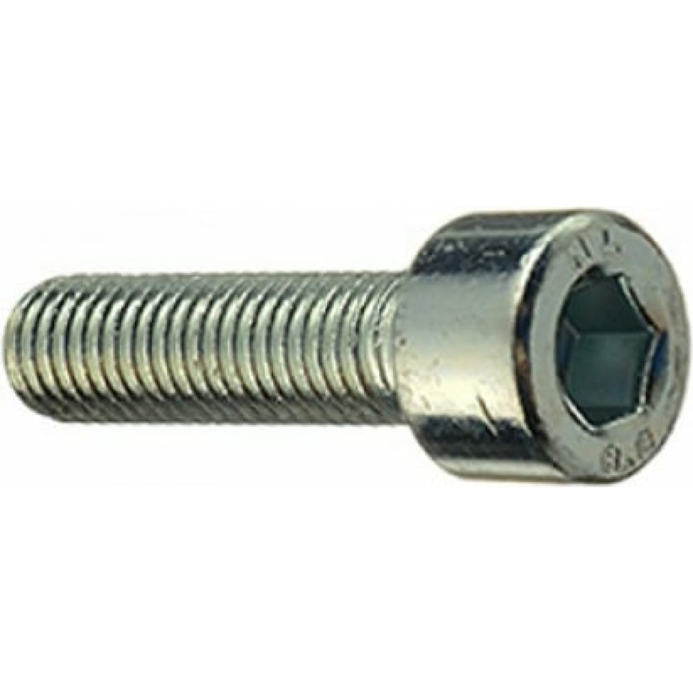

МТК Винты DIN 912 8.8 Zn 1 кг 8.0 x 25 115913