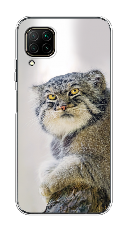 

Чехол на Huawei P40 Lite/Nova 6 SE/Nova 7i "Кот манул 1", Серый;белый;желтый, 611850-1