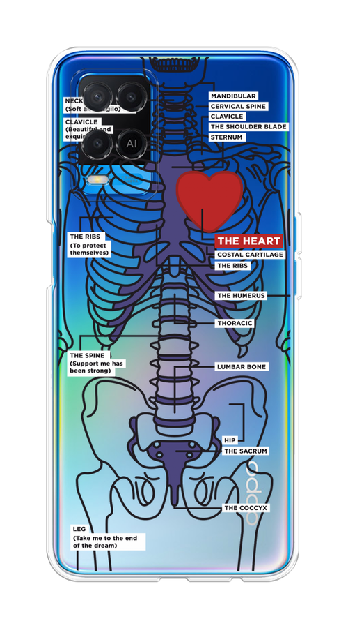 

Чехол на Oppo A54 "Скелет человека", Прозрачный;синий;красный, 256150-1