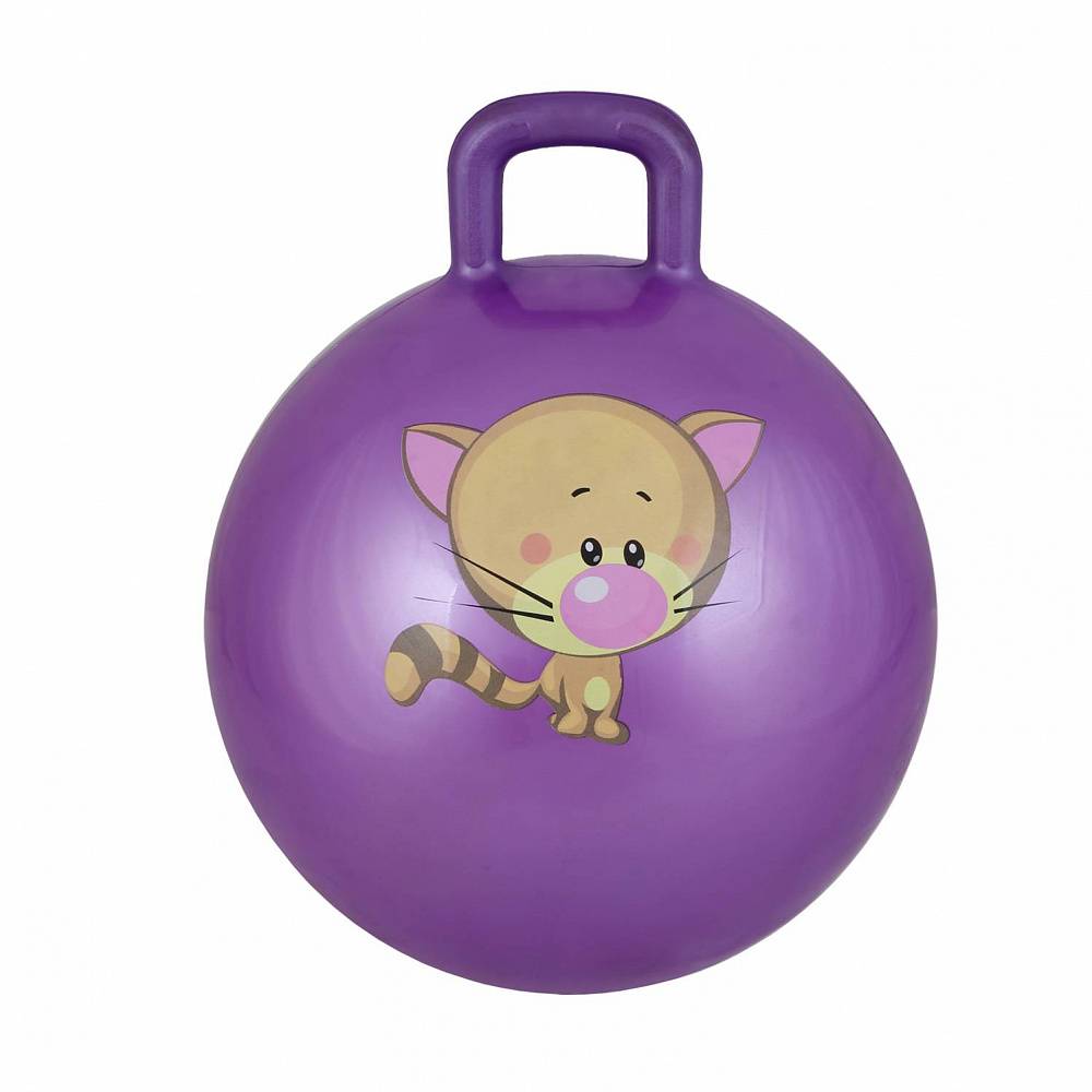 фото Мяч гимнастический body form bf-chb0122, фиолетовый, 55 см