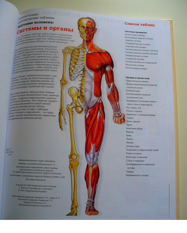 

Большой Атлас Анатомии Человека. лучшие В Мире Анатомические таблицы