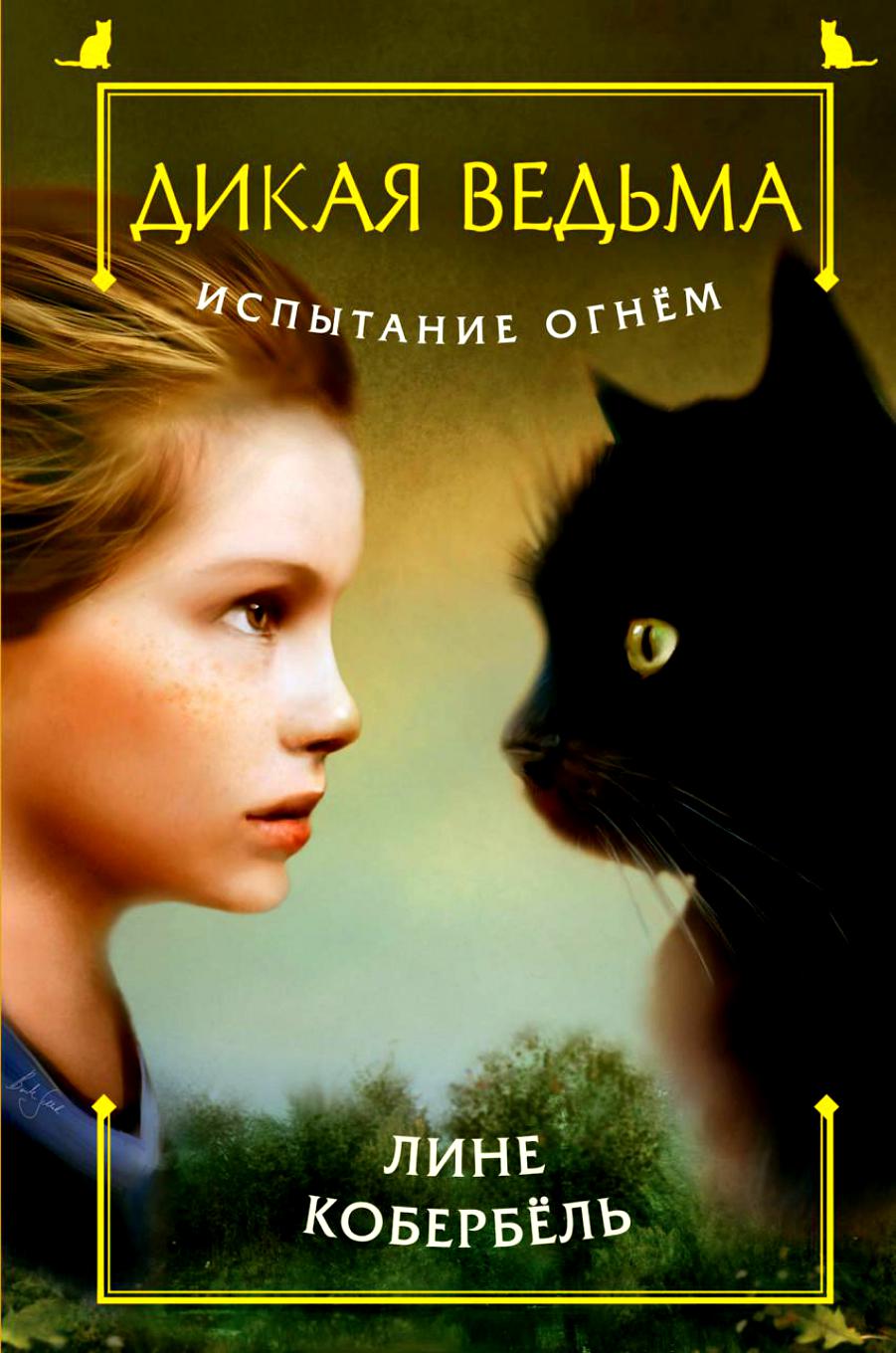 

Книга Испытание Огнем