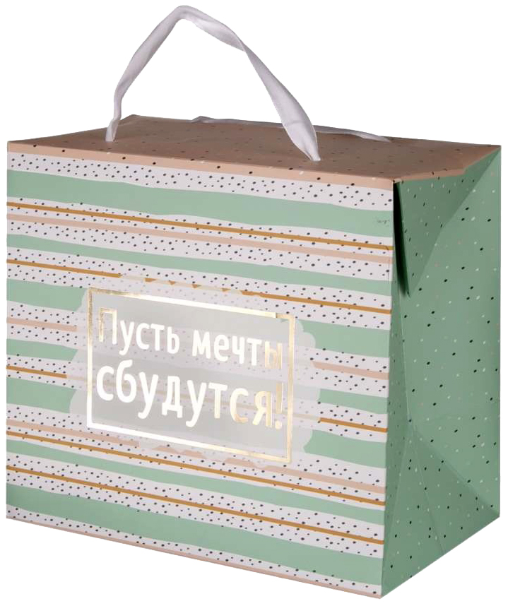 

Пакет бумажный "Мечты"