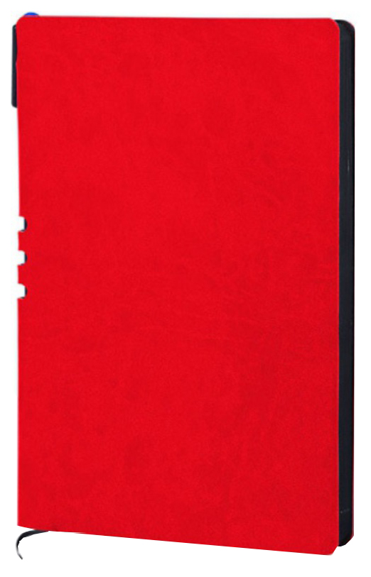 

Ежедневник LOREX LXDRA5CL4 недатированный