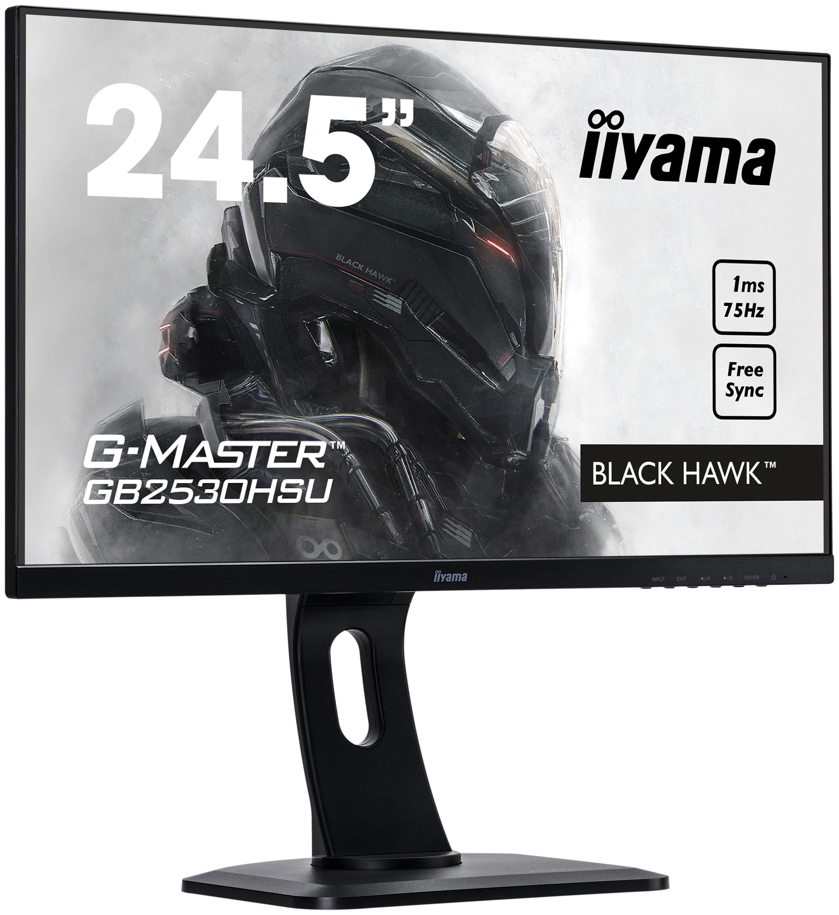 фото Монитор iiyama g-master gb2530hsu-b1 black