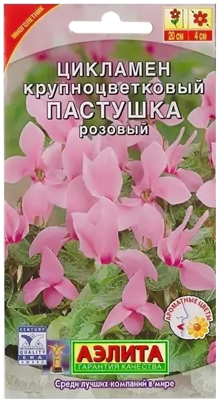 

Семена Цикламен крупноцветковый Пастушка розовый, 3 шт, АЭЛИТА
