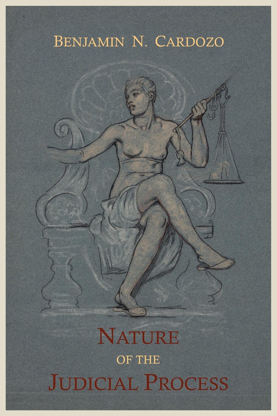 

The Nature Of The Judicial Process