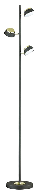 

Торшер Lumion 3747/15FL LED