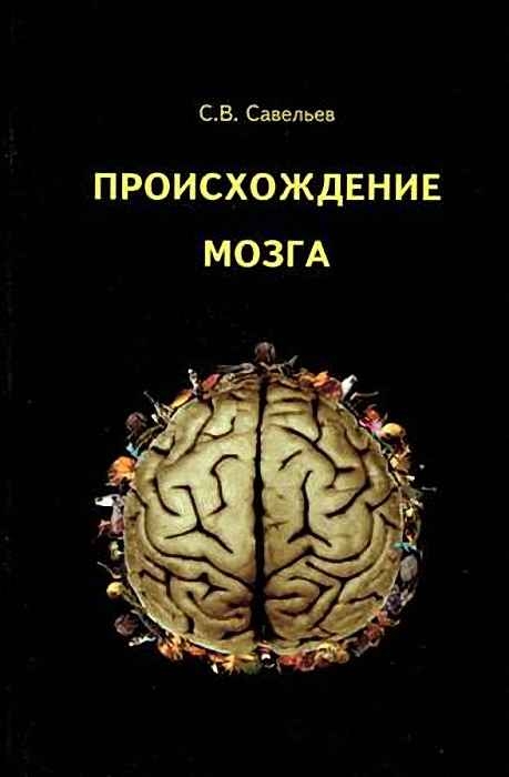 фото Книга происхождение мозга. савельев сергей веди